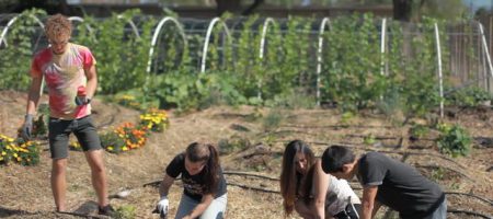 food justice students in garden