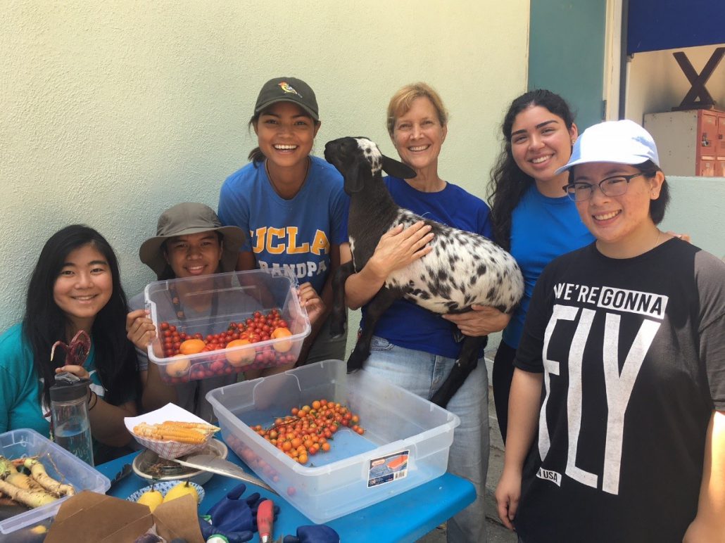 UCLA students and community partner, Karen Snook of Kindred Spirits Care Farm