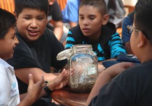 youth look at sage plants